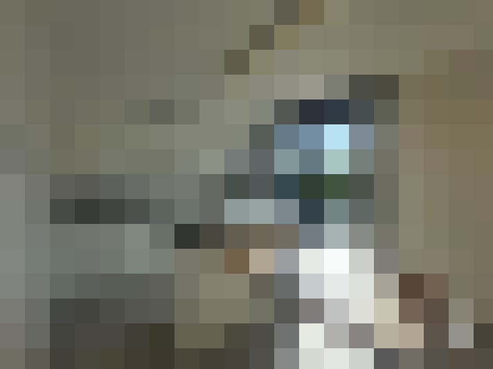  / #8