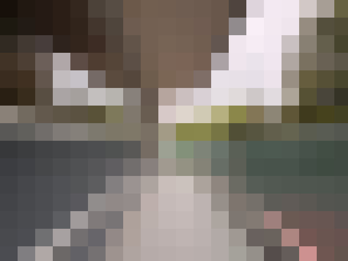 / #8