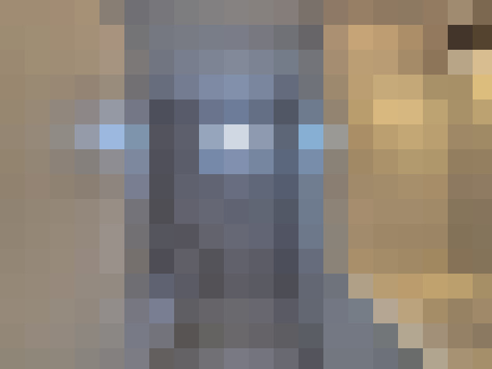  / #15