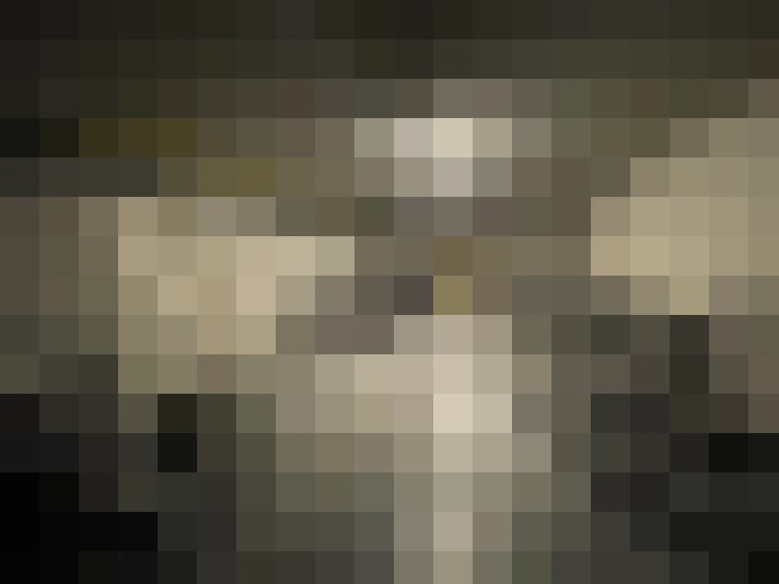  / #21