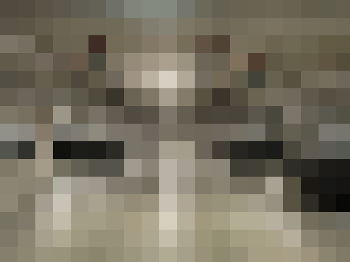  / #15