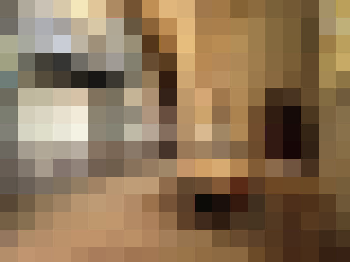  / #14