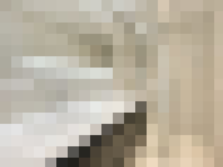  / #20