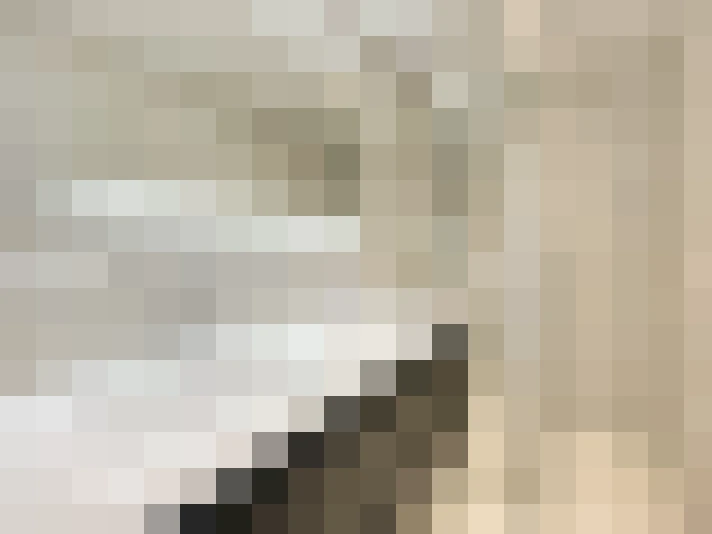 / #19