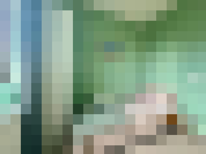  / #20
