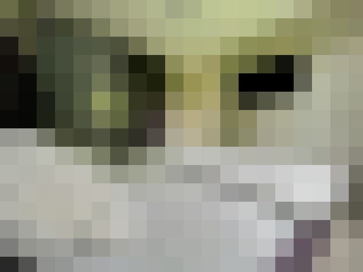  / #16