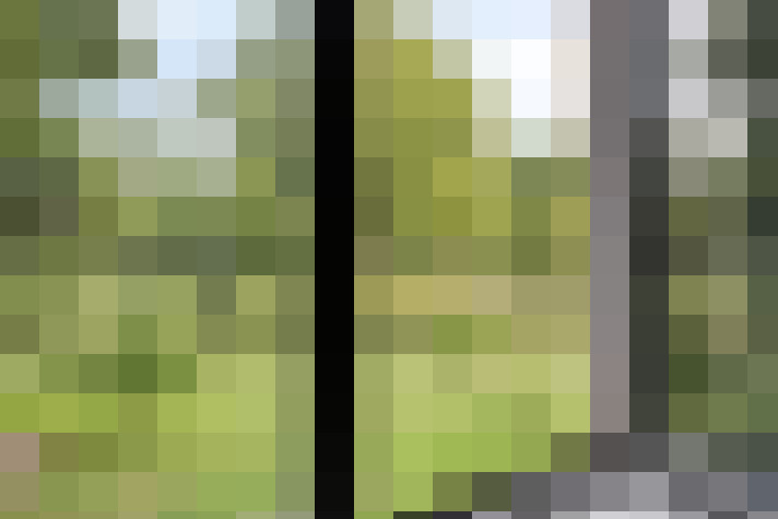  / #17