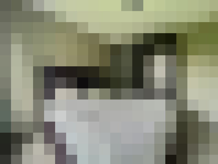  / #15