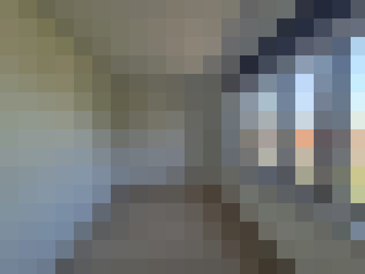  / #19