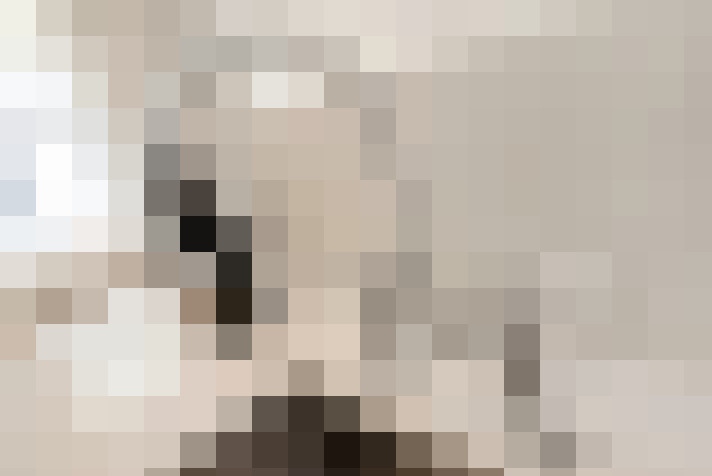  / #8