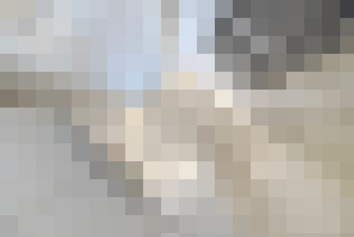  / #15