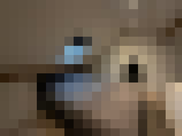  / #13
