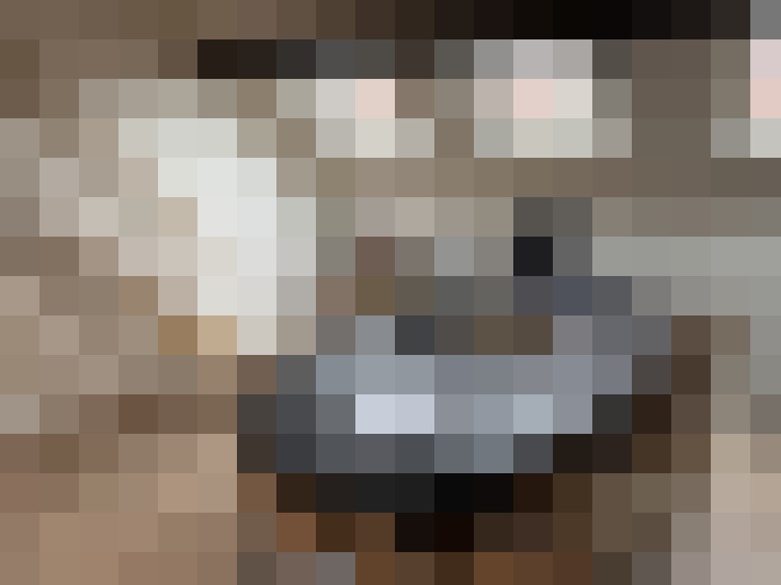  / #8