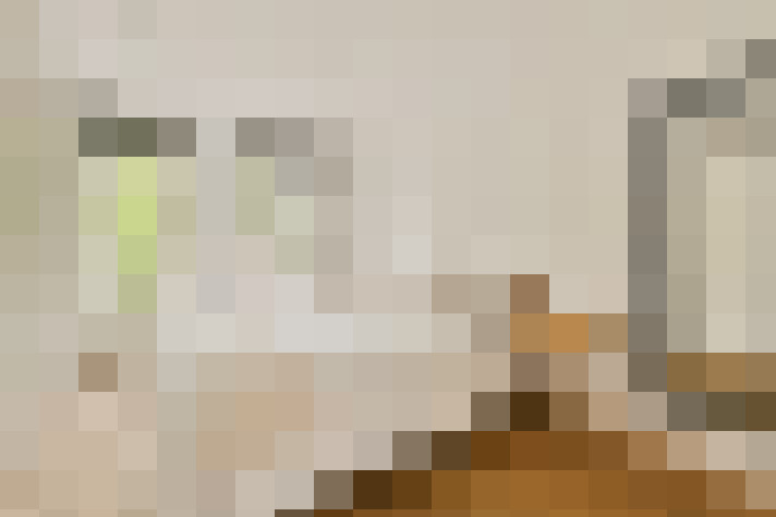  / #19