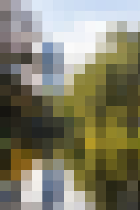  / #16