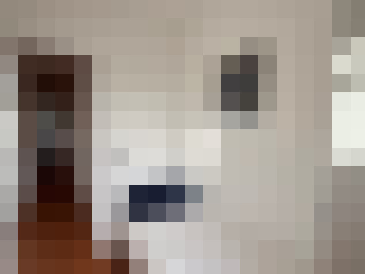  / #21
