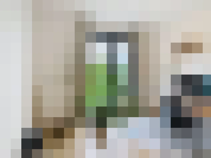  / #8