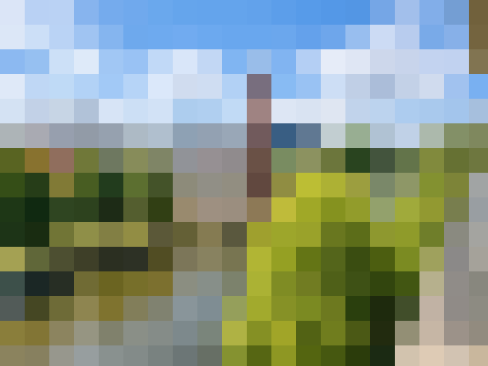  / #16