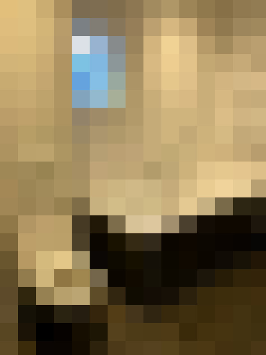  / #11