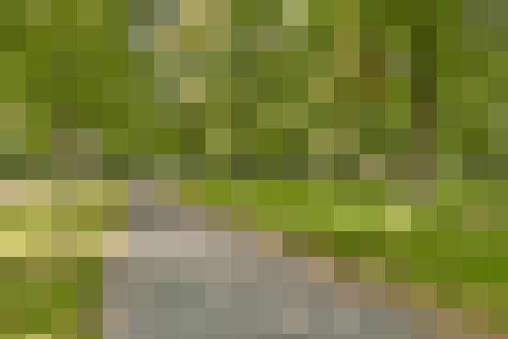  / #20