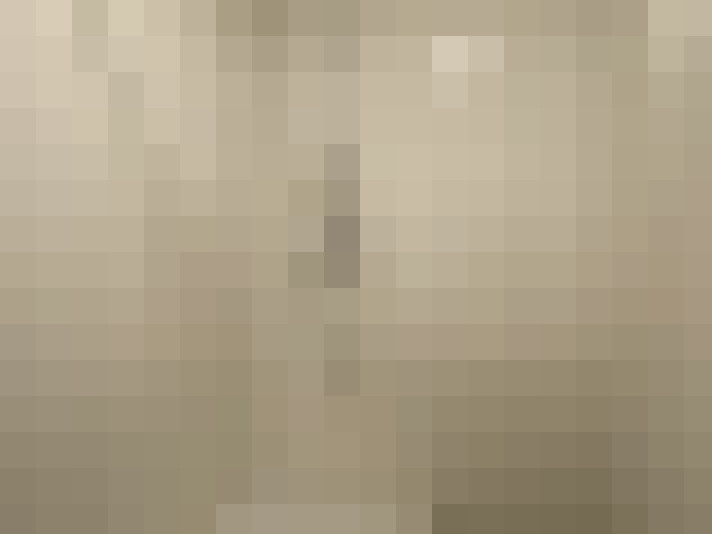  / #11