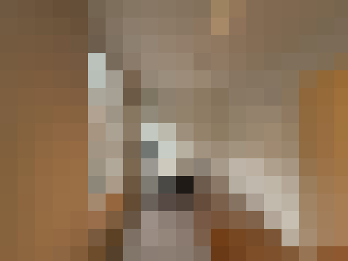  / #13