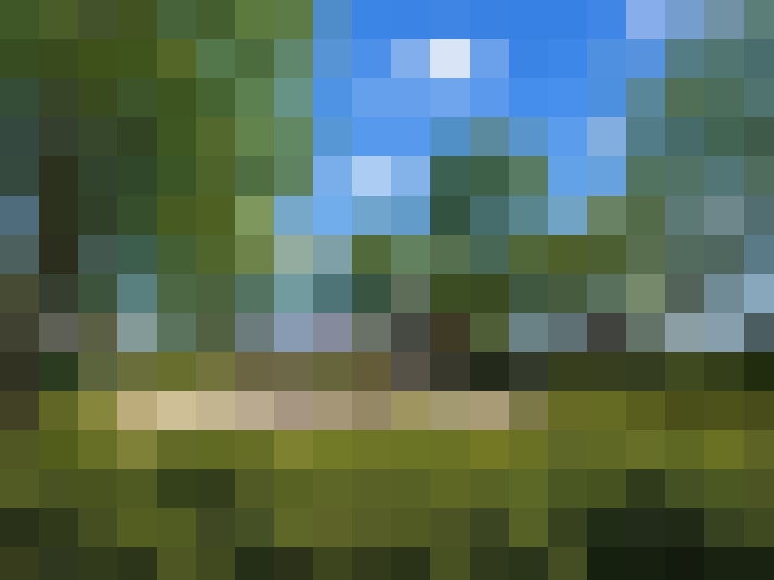  / #17