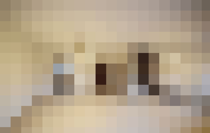  / #8