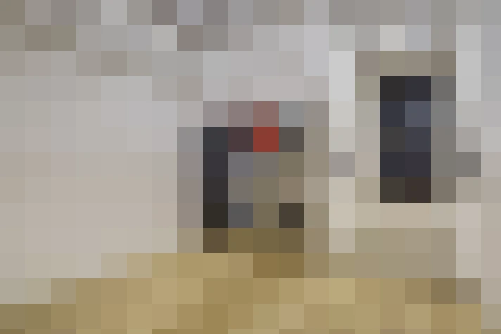  / #10