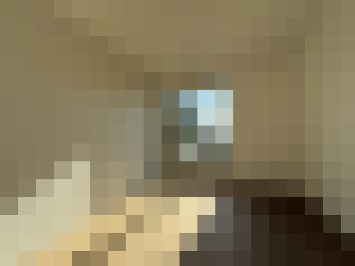  / #11