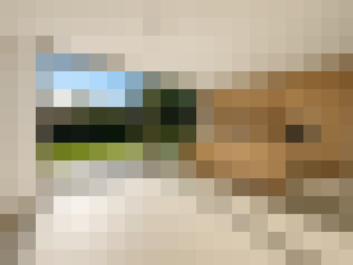  / #7