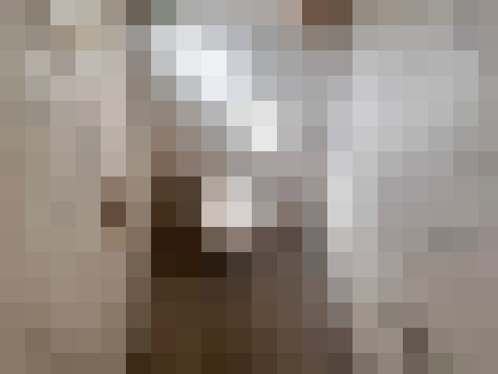  / #15