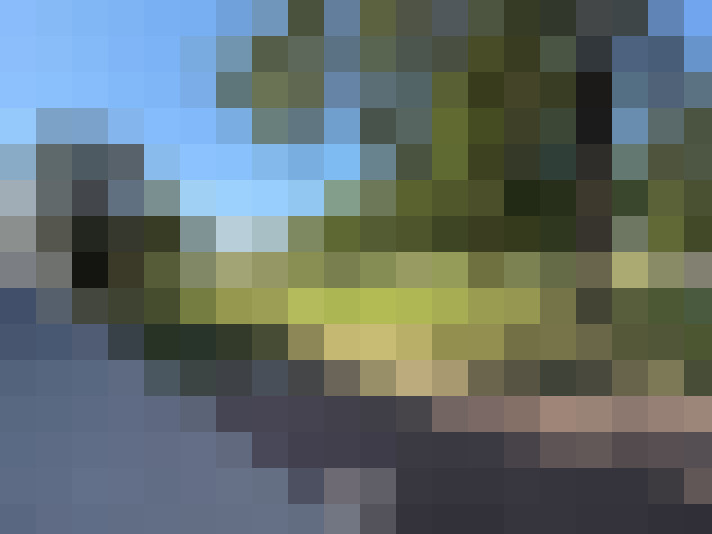  / #17
