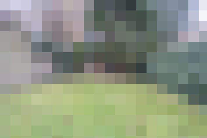  / #16