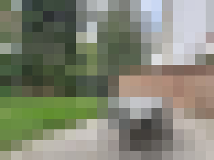 / #14