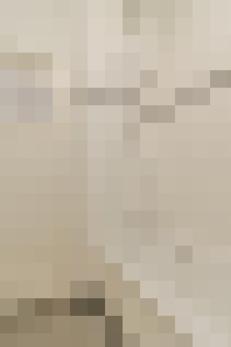 / #19