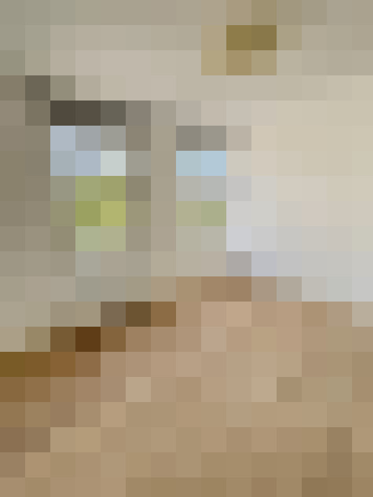  / #16