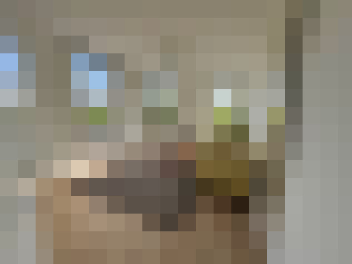  / #7