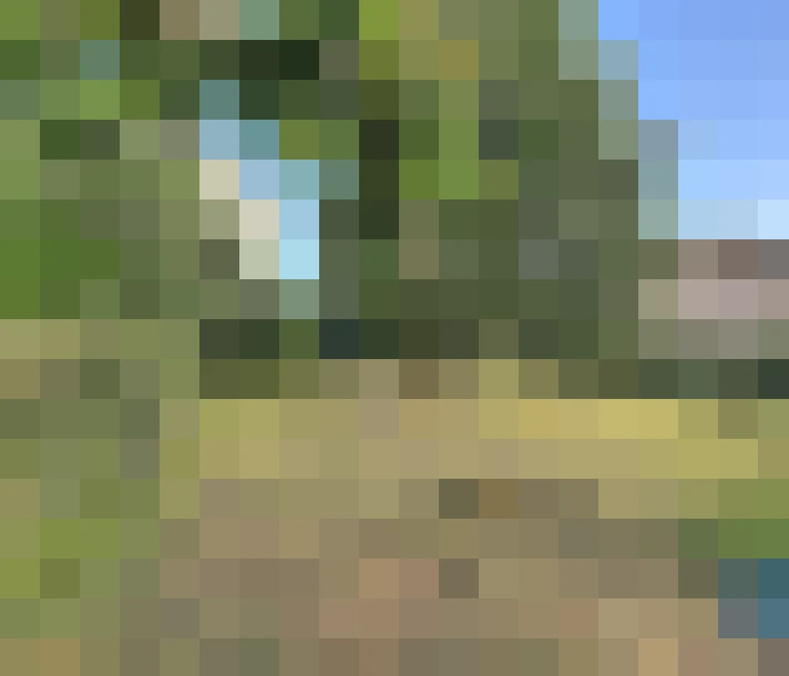  / #17
