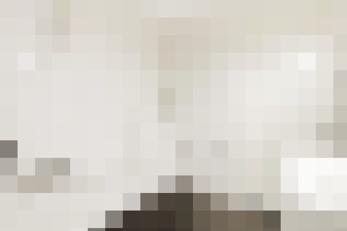  / #19