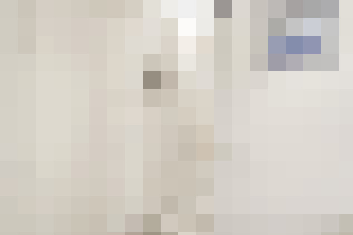  / #24