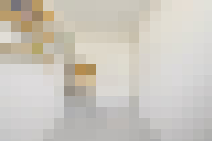  / #17