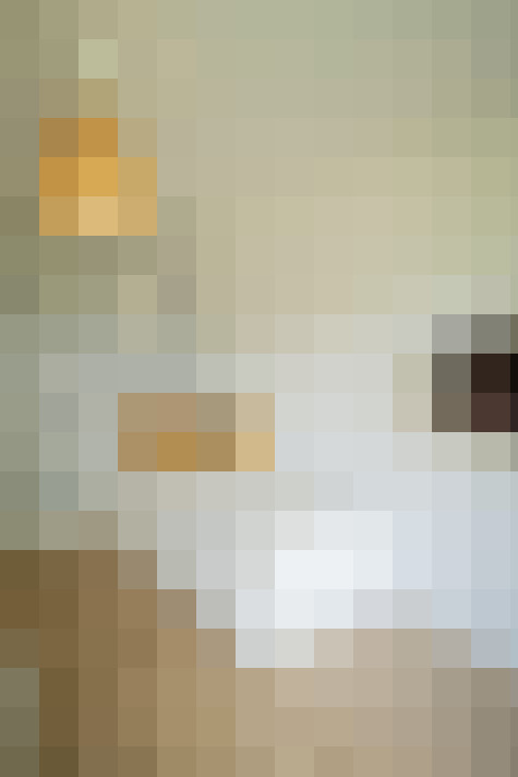  / #19
