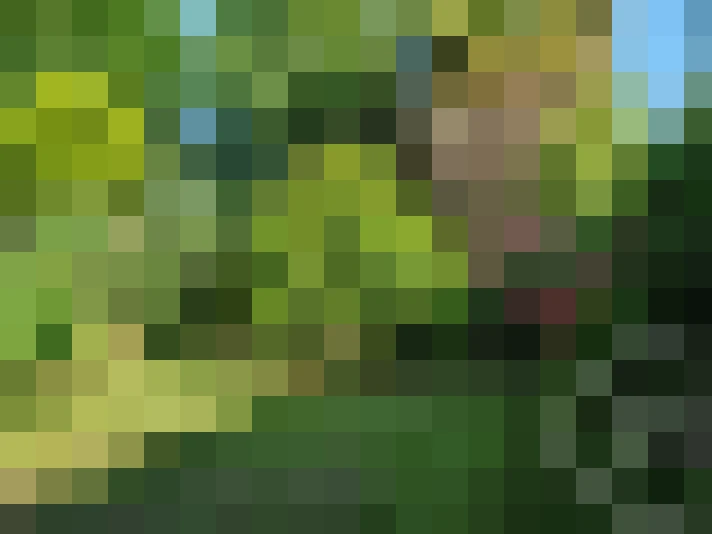  / #17