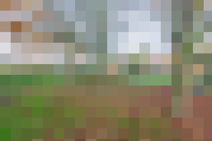  / #14