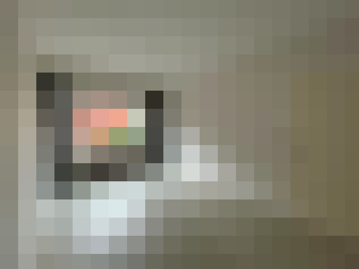  / #7