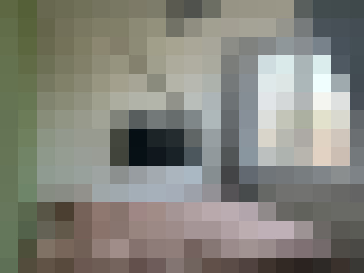  / #16