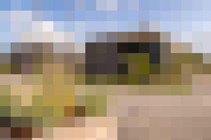 / #14