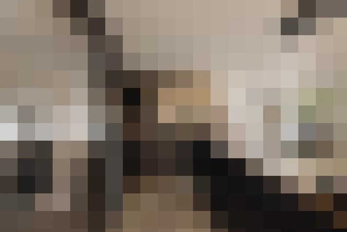  / #14