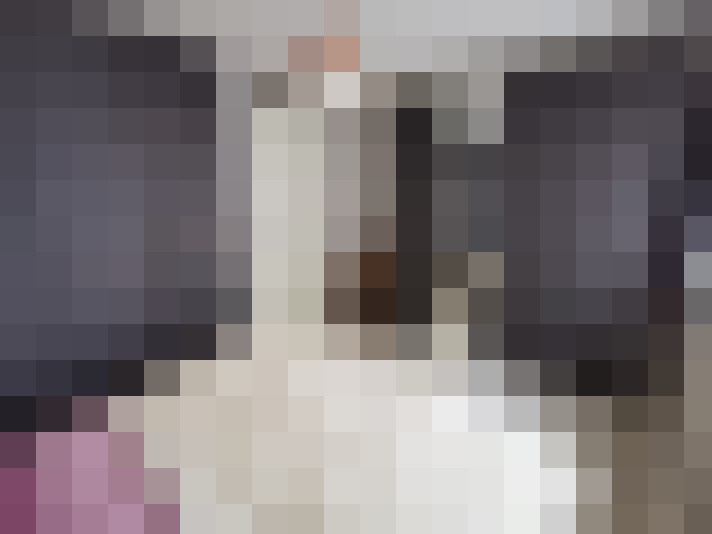  / #8